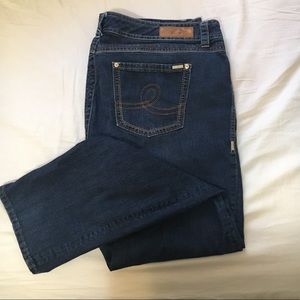 Melissa McCarthy Seven7 Jeans